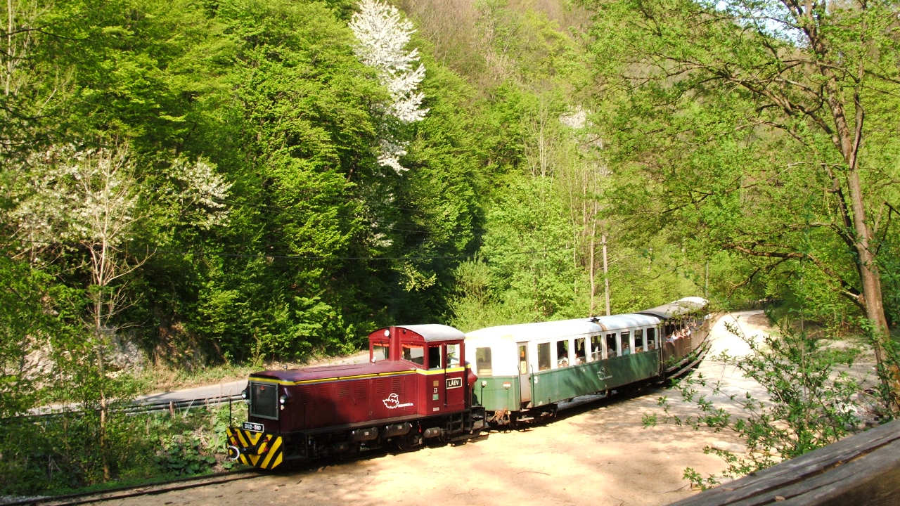 Narrow gauge railway